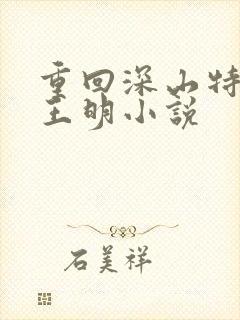 重回深山特种兵王明小说