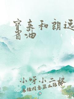 宝来和朗逸哪个省油