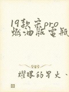 19款宋pro燃油版电瓶