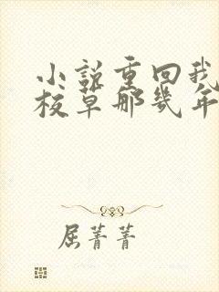 小说重回我爸当校草那几年
