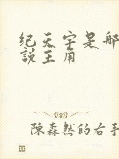 纪天宇是哪本小说主角