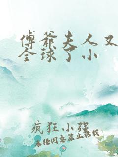 傅爷夫人又惊艳全球了小