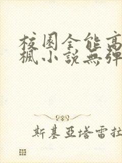 校园全能高手季枫小说无弹窗