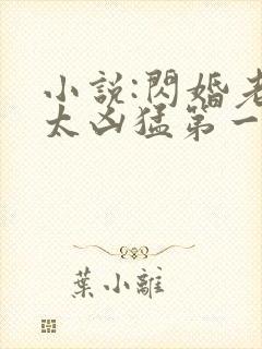 小说:闪婚老公太凶猛第一部