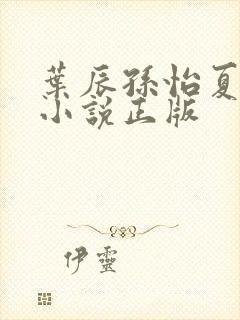 叶辰孙怡夏若雪小说正版
