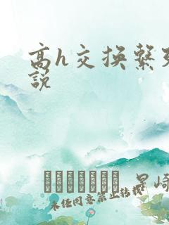 高h交换系列小说