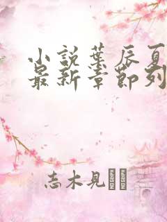 小说叶辰夏若雪最新章节列表最