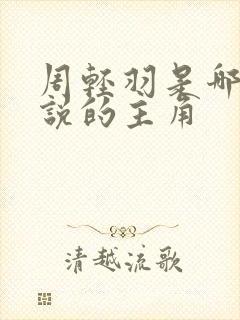 周轻羽是哪部小说的主角