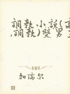 调教小说(高h,调教)双男主