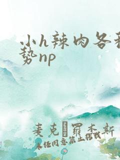 小h辣肉各种姿势np