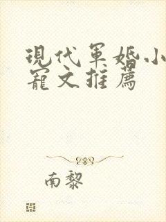 现代军婚小说甜宠文推荐