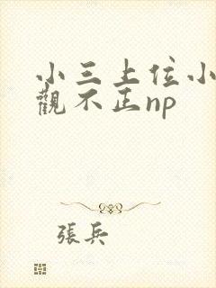 小三上位小说三观不正np