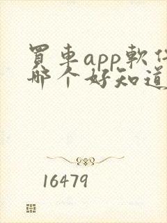 买车app软件哪个好知道