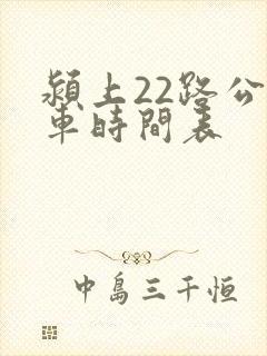 颍上22路公交车时间表
