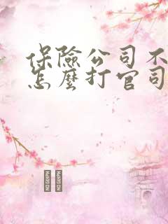 保险公司不理赔怎么打官司
