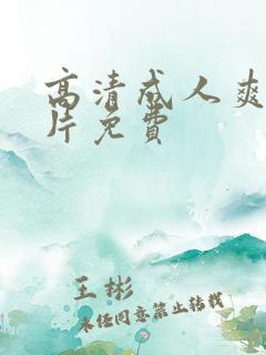 高清成人爽a毛片免费