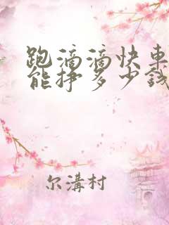 跑滴滴快车一天能挣多少钱