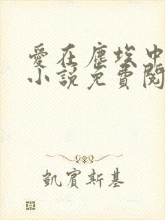 爱在尘埃中绽放小说免费阅读无弹窗 爱在尘埃中绽放小说免费阅读无弹窗