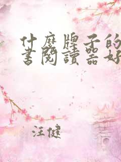 什么牌子的电子书阅读器好