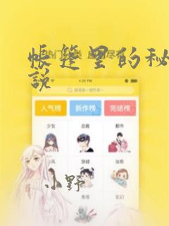 帐篷里的秘密小说：结局+番外