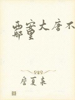 西安大唐不夜城哪里