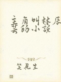 主角叫林辰薛灵芸的小说