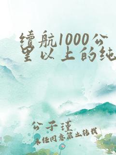 续航1000公里以上的纯电动汽车