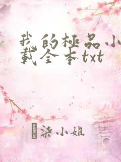 我的极品小姨下载全本txt