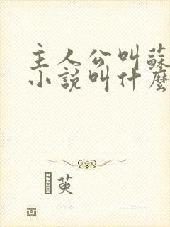 主人公叫苏辰的小说叫什么名字 主人公叫苏辰的小说叫什么名字