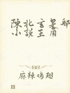 陈北玄是哪一部小说主角