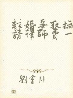 离婚争取抚养权请律师费一般是多少钱