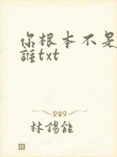 你根本不是我的谁txt