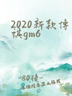 2020新款传祺gm6