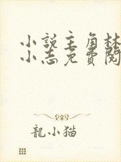 小说主角林姨,小志免费阅读