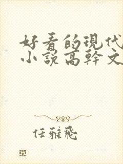 好看的现代言情小说高干文