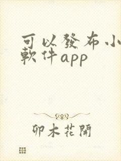 可以发布小说的软件app 可以发布小说的软件app