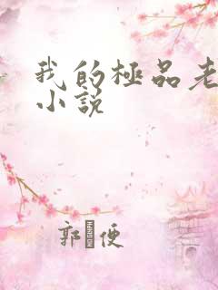 我的极品老婆听小说