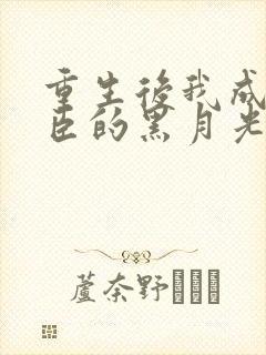 重生后我成了奸臣的黑月光全文阅读