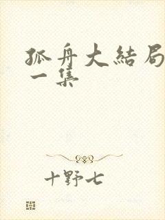 孤舟大结局最后一集