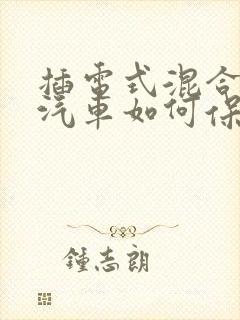 插电式混合动力汽车如何保养