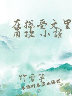 在总受文里抢主角攻 小说