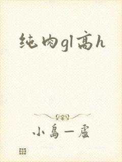 纯肉gl高h