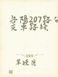 丹阳207路公交车路线