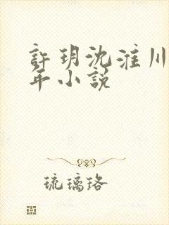 许玥沈淮川陈晋年小说