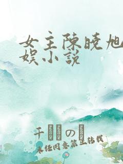 女主陈晓旭的华娱小说