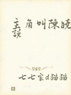主角叫陈晓的小说