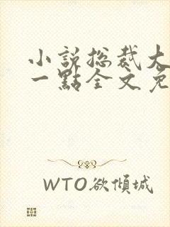 小说总裁大人轻一点全文免费阅读