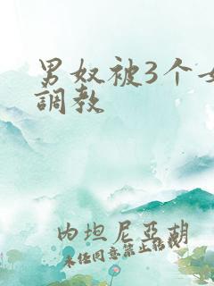 男奴被3个女王调教