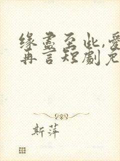 缘尽至此,爱不再言短剧免费播放