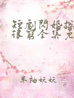 短剧闪婚总裁都很穷全集免费观看 短剧闪婚总裁都很穷全集免费观看